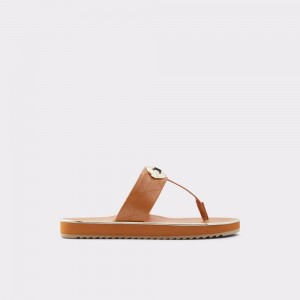 Sandale Dama Aldo Searene Flip flop Maro | 6025ODWVB