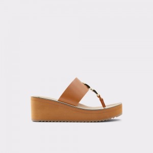 Sandale Dama Aldo Toea Thong sandal - Wedge heel Maro | 6913QHMWV
